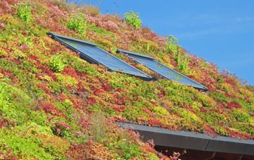 Brineton living roof systems