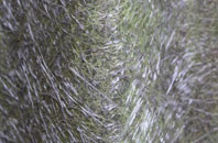 Brineton fibreglass roof work